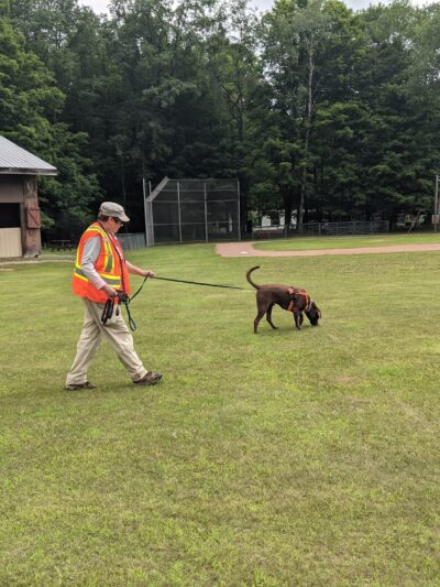 Fern Park - Inlet, NY