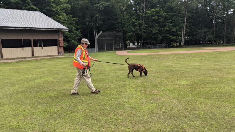 Fern Park - Inlet, NY