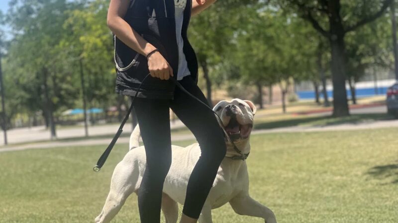 Integrity K9 Services - ,