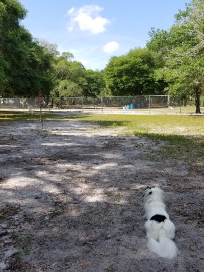 Bark Central Dog Park - Inverness, FL