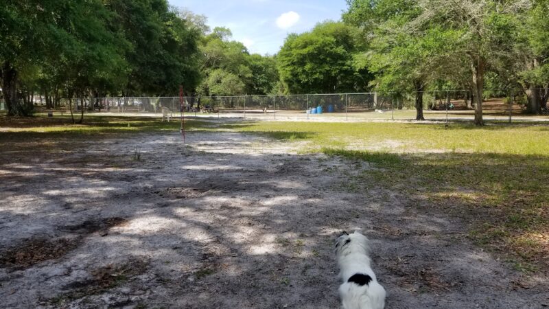 Bark Central Dog Park - Inverness, FL