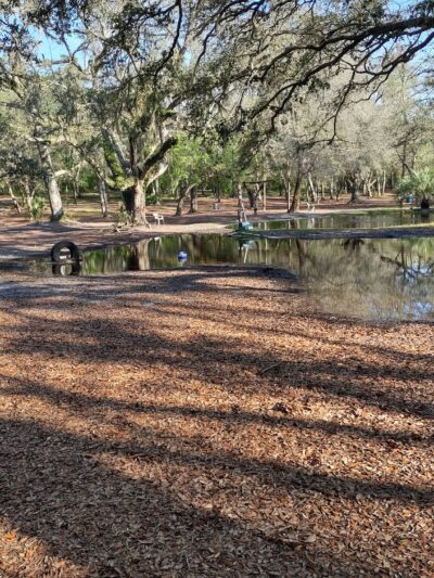 Bark Central Dog Park - Inverness, FL