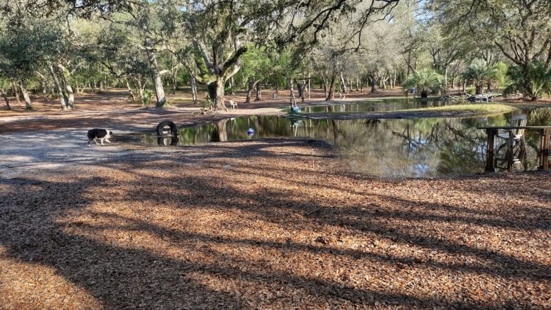 Bark Central Dog Park - Inverness, FL