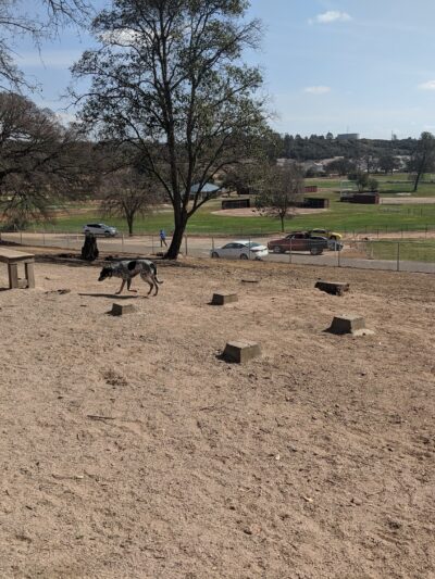Ione Dog Park - Ione, CA