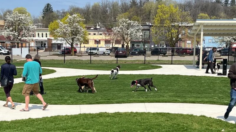Ionia County dog park - Ionia, MI