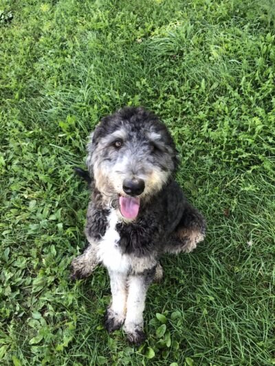 Peaceful Prairie - Iowa City, IA