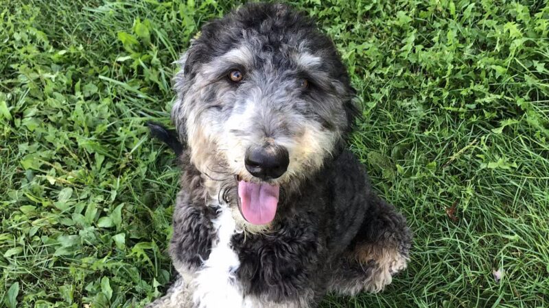 Peaceful Prairie - Iowa City, IA