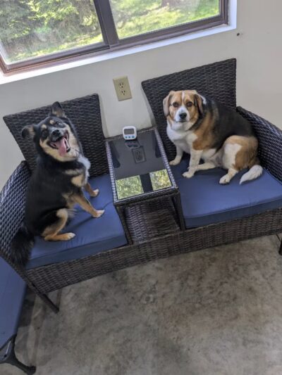 Pup-A-Rama Playhouse - Iowa City, IA