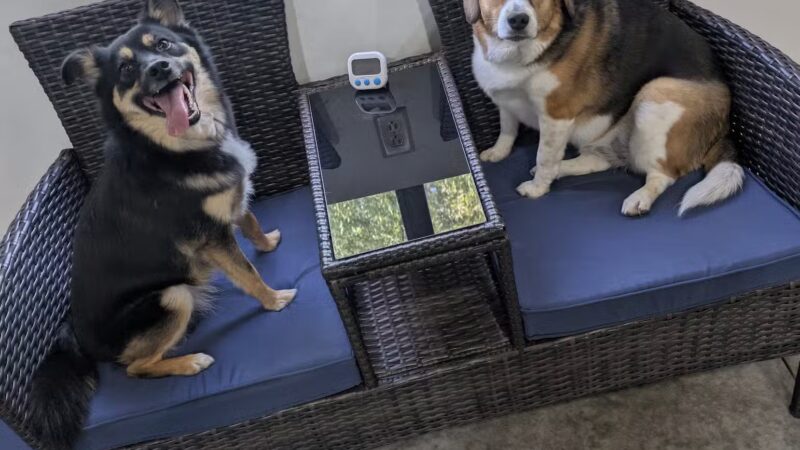 Pup-A-Rama Playhouse - Iowa City, IA