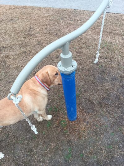 Ellard Park - Irondale, AL