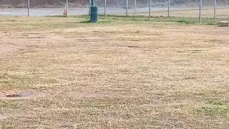 Irondale Dog Park - Irondale, AL