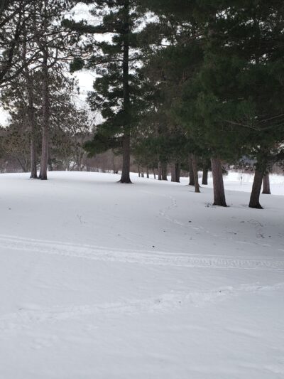Morningside Park - Ironton, MN