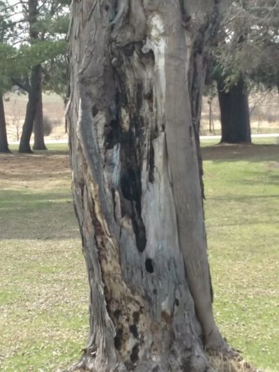 Morningside Park - Ironton, MN