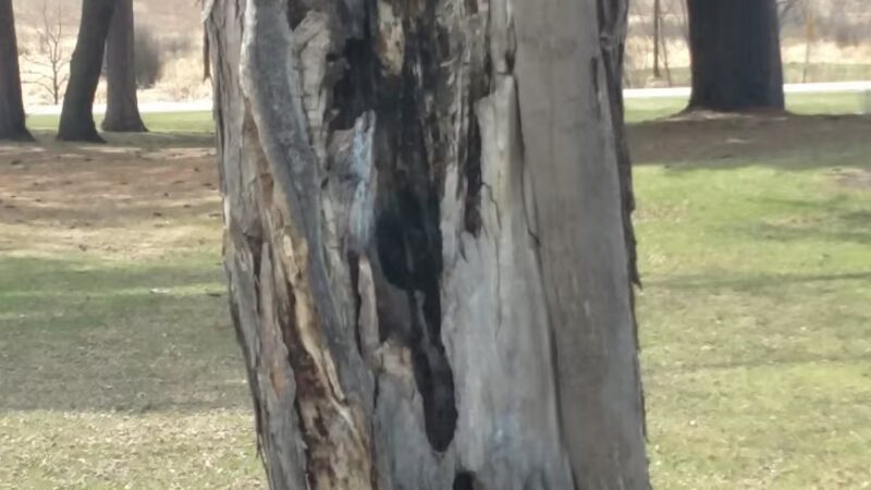 Morningside Park - Ironton, MN