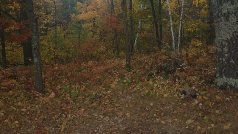 Portage Lake Trail - Ironton, MN
