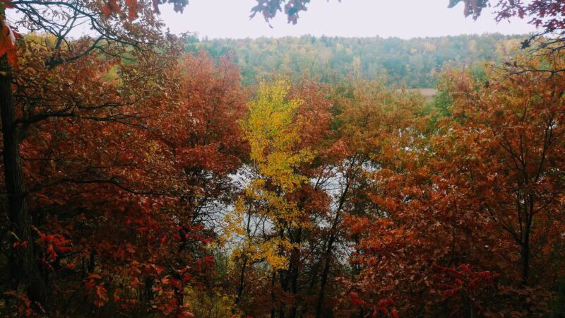 Portage Lake Trail - Ironton, MN