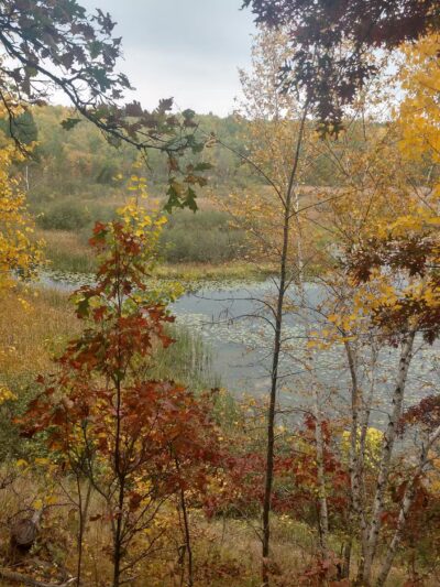 Portage Lake Trail - Ironton, MN