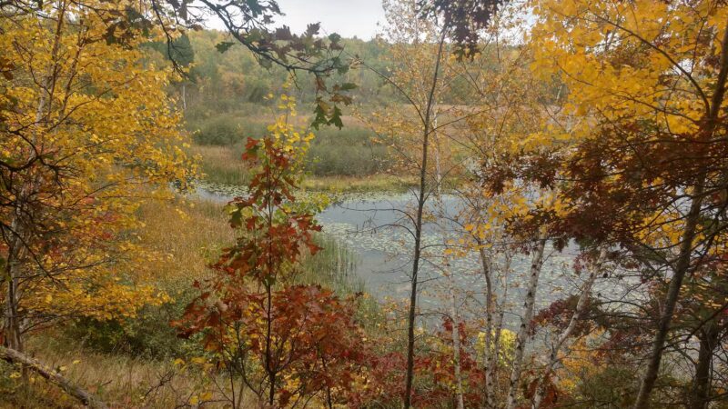 Portage Lake Trail - Ironton, MN