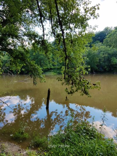 Kentucky River Park - Irvine, KY