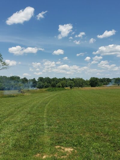 Kentucky River Park - Irvine, KY