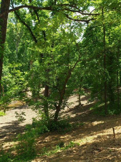 Kentucky River Park - Irvine, KY