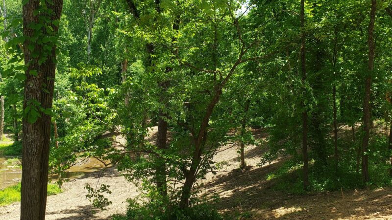 Kentucky River Park - Irvine, KY