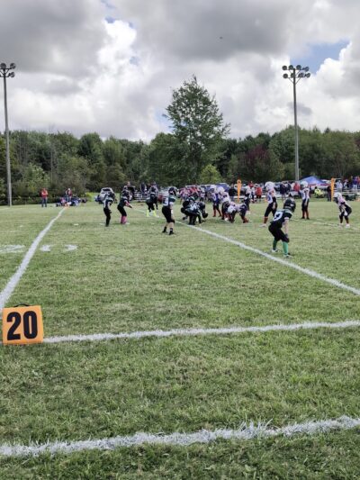 Town of Brant Town Park - Irving, NY