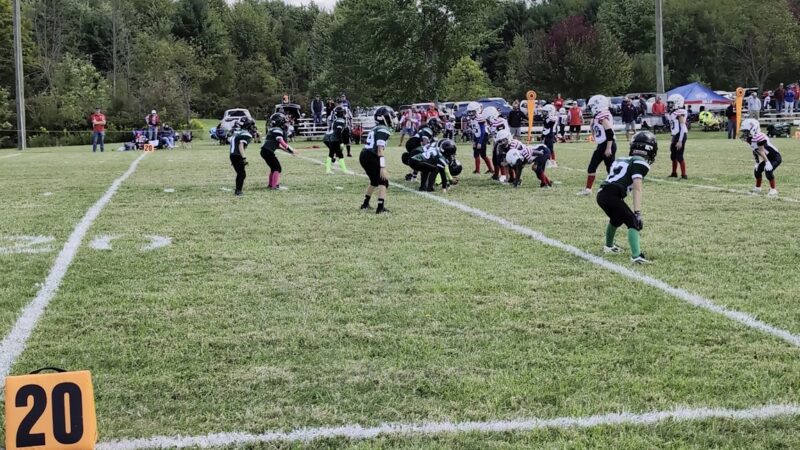 Town of Brant Town Park - Irving, NY