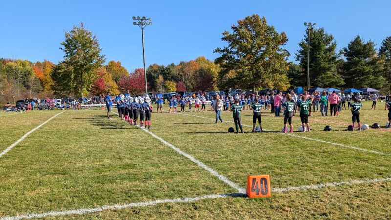 Town of Brant Town Park - Irving, NY
