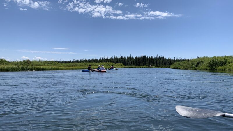 Big Springs Boating Launch - Island Park, ID