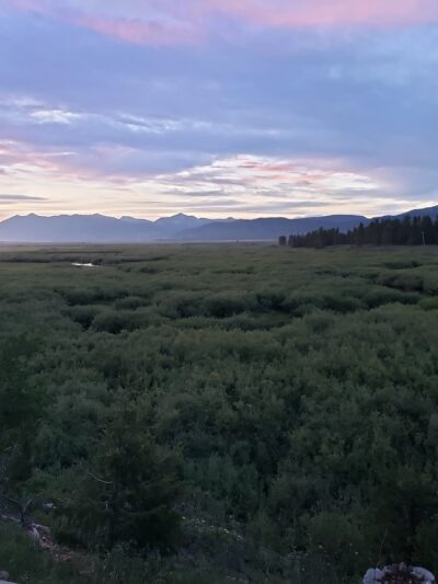 Moose View Lodge - Island Park, ID