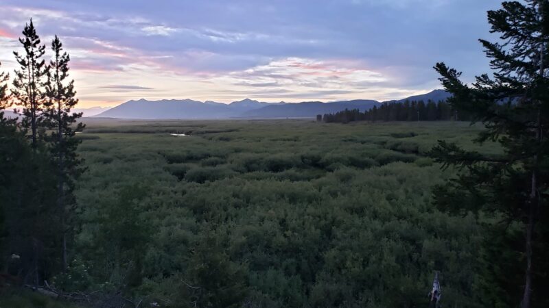 Moose View Lodge - Island Park, ID