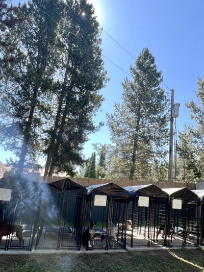 Spartacus Run Daycare (for dogs) - Island Park, ID