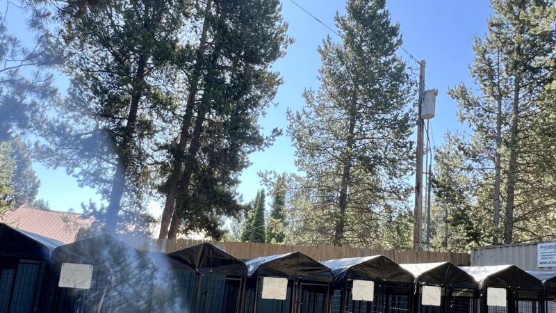 Spartacus Run Daycare (for dogs) - Island Park, ID