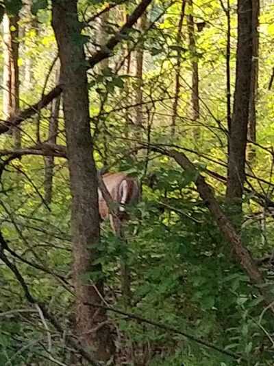 Marian Hartill Park - Ithaca, NY