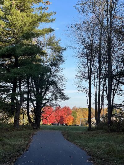 Marian Hartill Park - Ithaca, NY