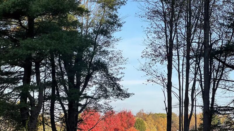 Marian Hartill Park - Ithaca, NY