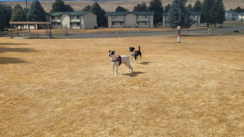 Jackpot Dog Park - Jackpot, NV