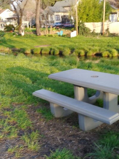 Jackson Creek Wayside Park - Jackson, CA