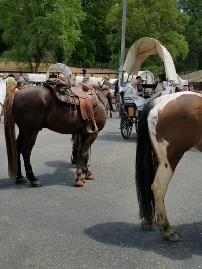 Kennedy Tailing Wheels Park - Jackson, CA