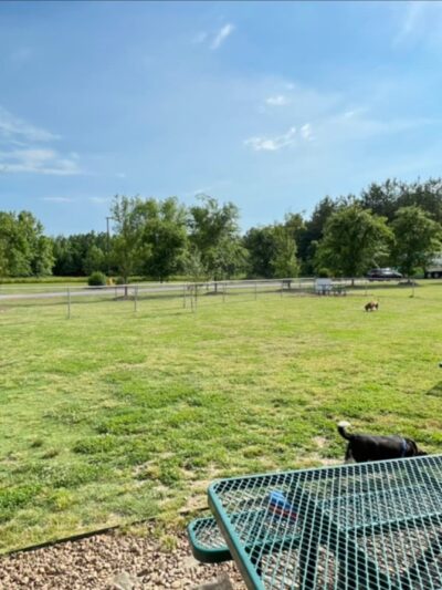 Dog Park at Love's Travel Stops - Jackson, TN