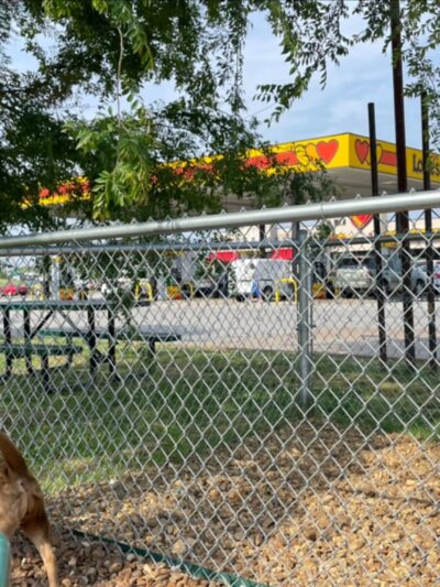 Dog Park at Love's Travel Stops - Jackson, TN