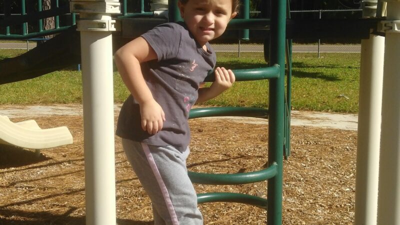 Black Hammock Island Park - Jacksonville, FL