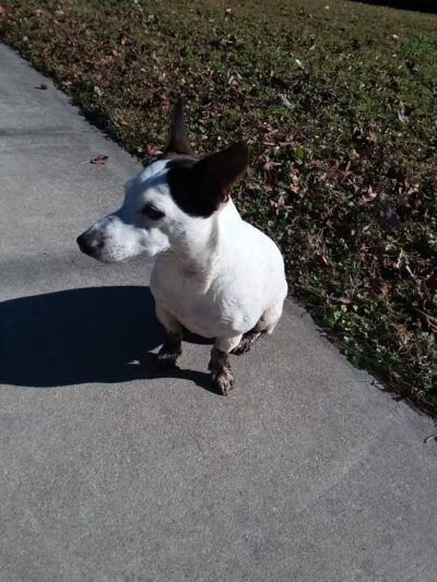 Brackridge Park - Jacksonville, FL