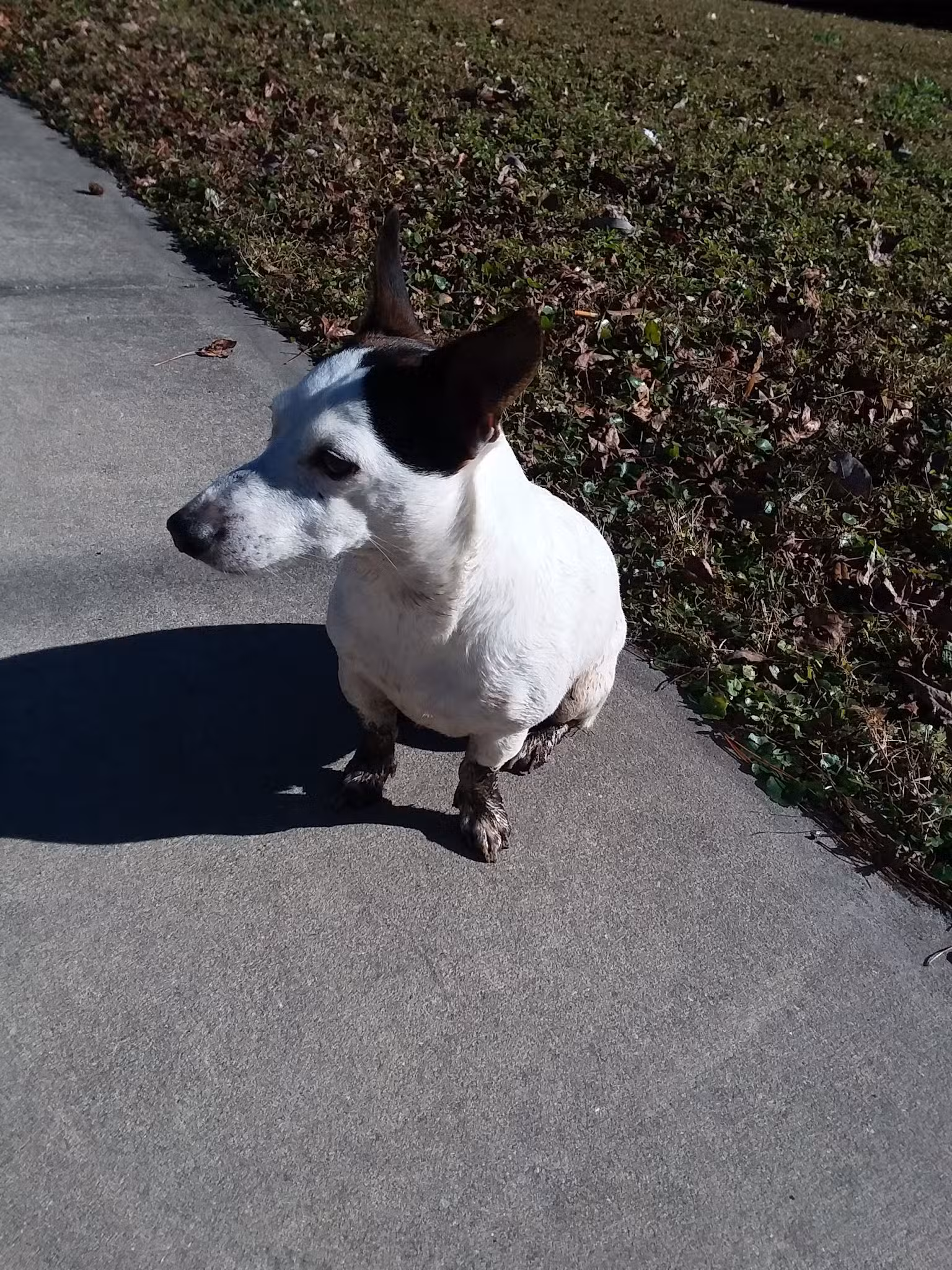 Brackridge Park - Jacksonville, FL