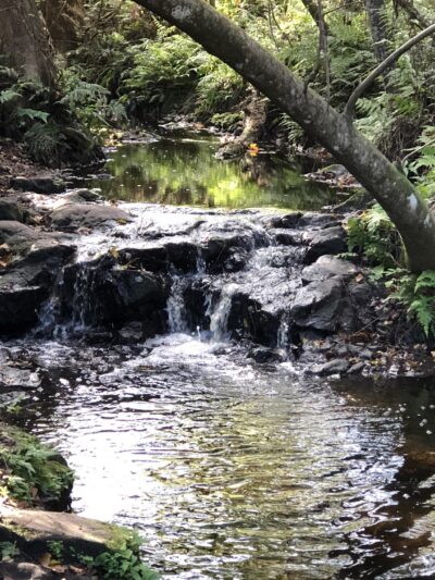 Bulls Bay Preserve - Jacksonville, FL
