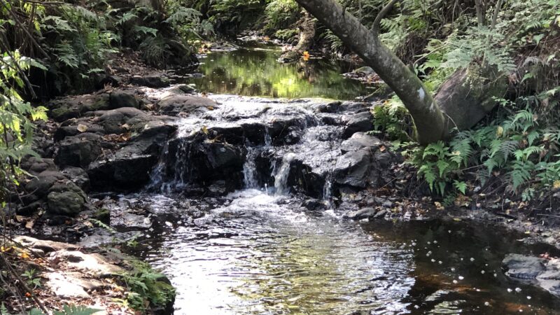 Bulls Bay Preserve - Jacksonville, FL