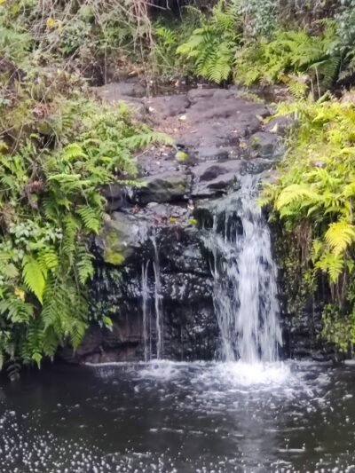 Bulls Bay Preserve - Jacksonville, FL