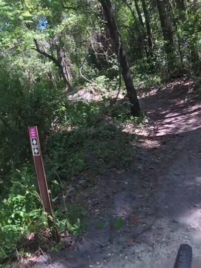 Bulls Bay Preserve - Jacksonville, FL