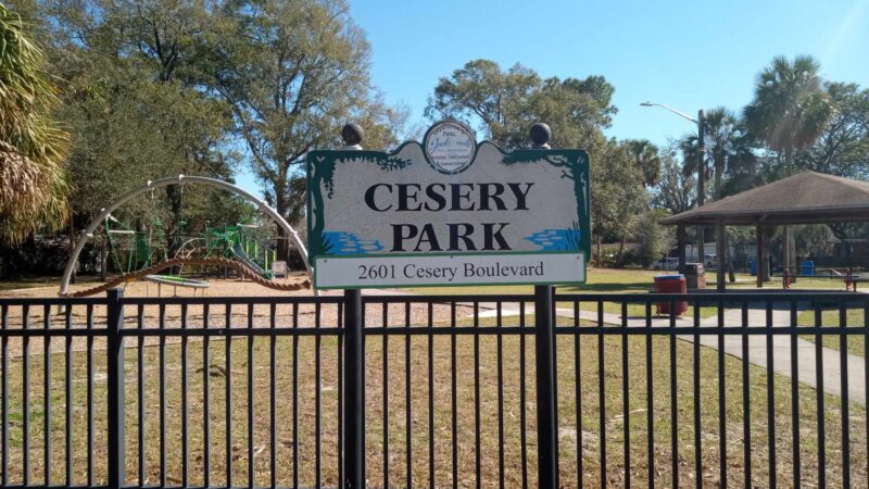 Cesery Park - Jacksonville, FL